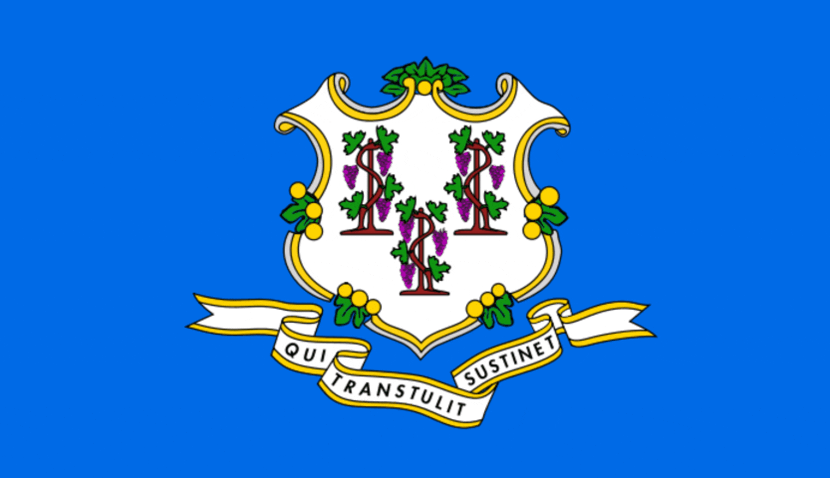connecticut State Flag