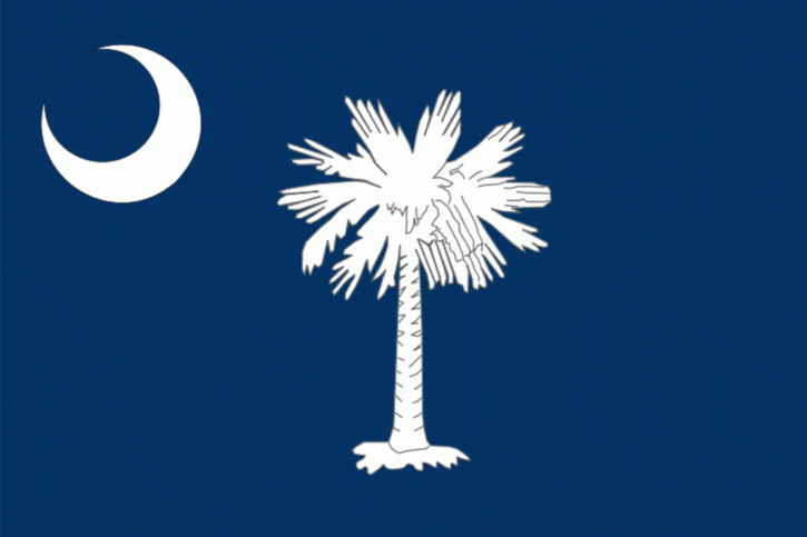 south-carolina State Flag